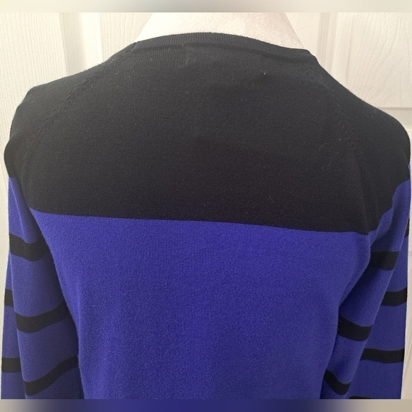 Carolyn Taylor Colorblock Raglan Sweater   Size XL - Picture 3 of 10